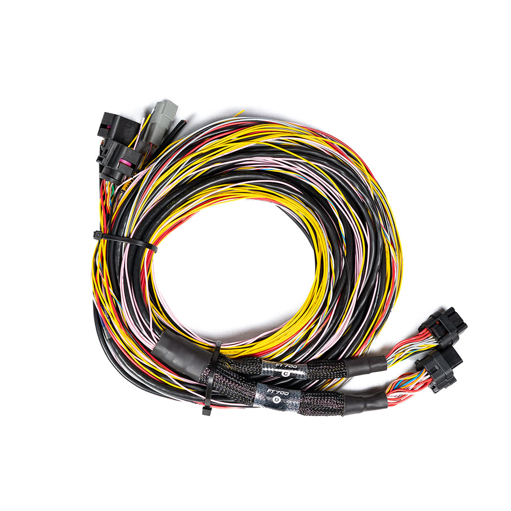 Chicote FT700 C e D - 6 metros