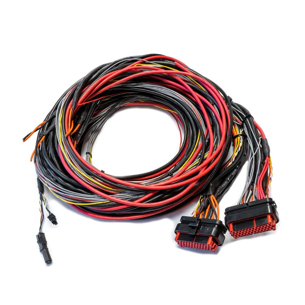 Chicote FTSPARK EXTREME